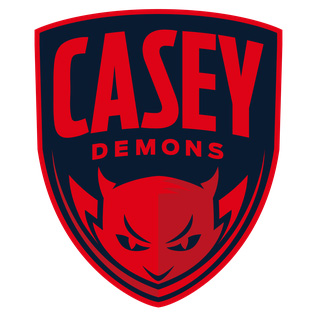 Casey Demons
