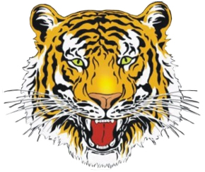 Seaford Tigers Football Club
